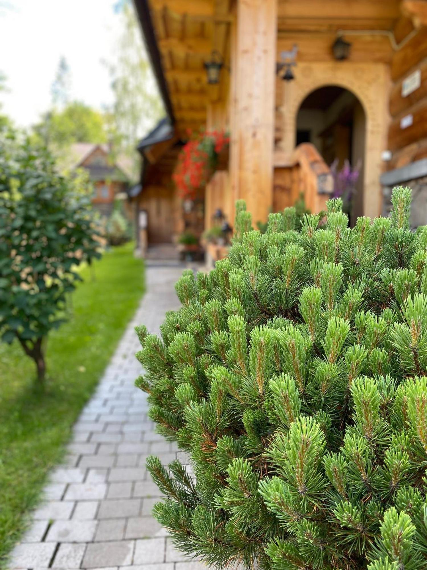 Apartamenty U Giewonta Zakopane Exteriör bild